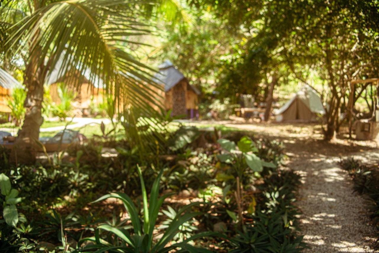 Lost Boyz Hostel Playa Santa Teresa  Exterior photo