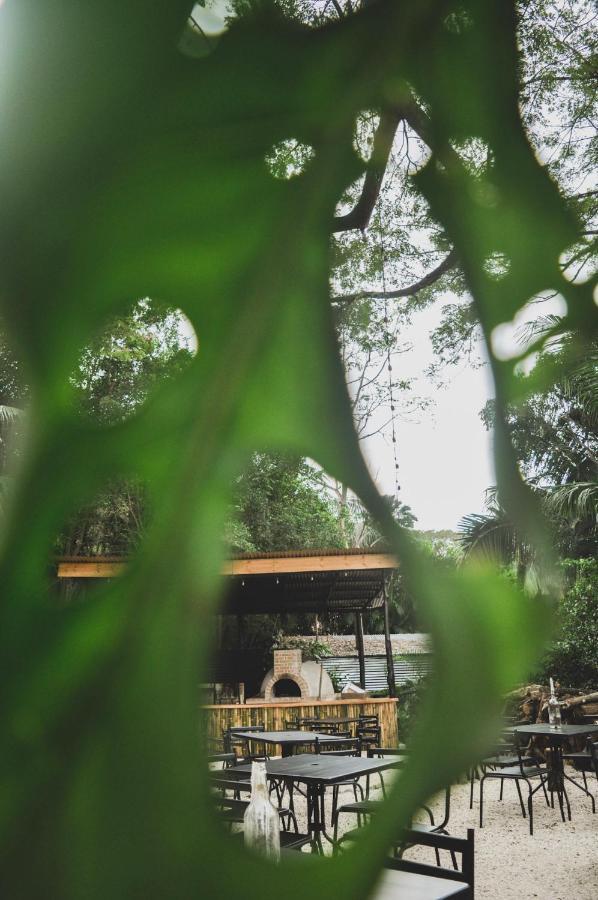Lost Boyz Hostel Playa Santa Teresa  Exterior photo