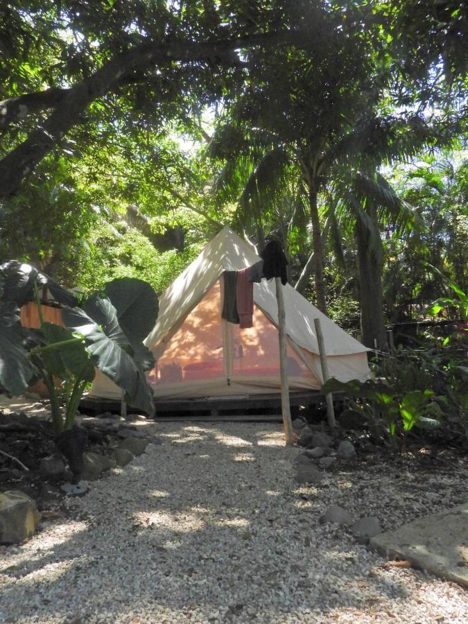 Lost Boyz Hostel Playa Santa Teresa  Exterior photo